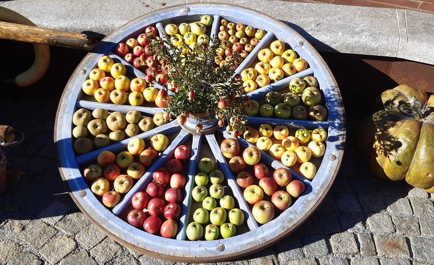 Festa d'autunno “Pômâ dë Vëno” a Venaus - Laboratorio Alte Valli