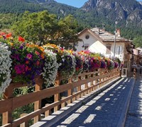 19-09-06 Fiori a Cesana - Marianna Fotea_0.jpg