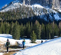 1000 sci alpinismo_0.jpg