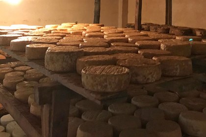 Il Cevrin stagiona nella stalla al Sellery di Giancarlo Lussiana-1 Alla scoperta del Cevrin di Coazze, il formaggio delle capre d'alpeggio