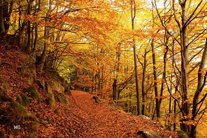 I lavori di una volta: autunno, tempo di semina e di raccolto