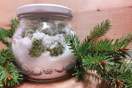 Cover sciroppo2 Cover sciroppo2.jpg