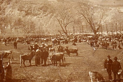 Cover Fiera Franca di Oulx - Foto di Cesare Augusto Prat La Fiera Franca di Oulx: una tradizione che risale al 1494