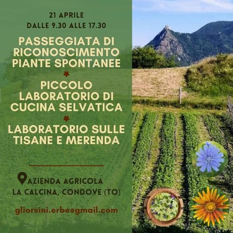 CORSO DI RICONOSCIMENTO PIANTE SPONTANEE E LABORATORI 