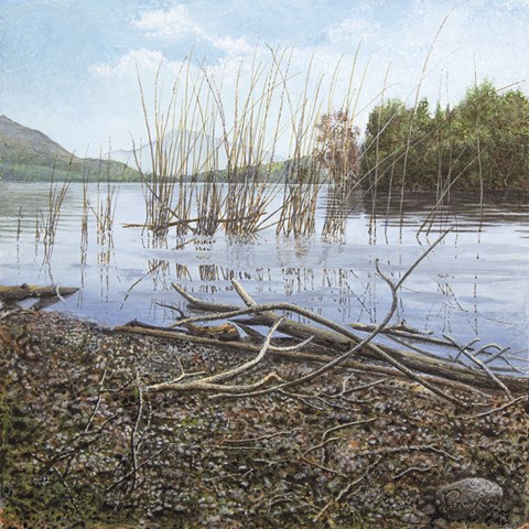 lago.jpg