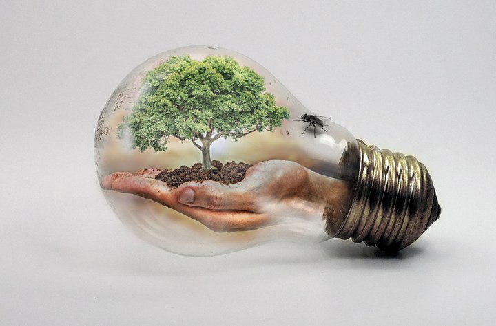 bulb-2368396_1280.jpg