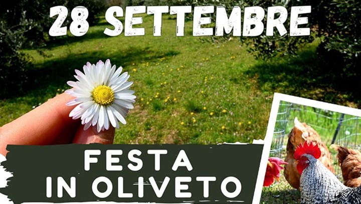 FESTA IN OLIVETO A BORGONE!!!