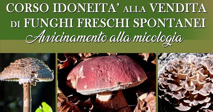 CORSO ABILITANTE PER LA VENDITA DI FUNGHI