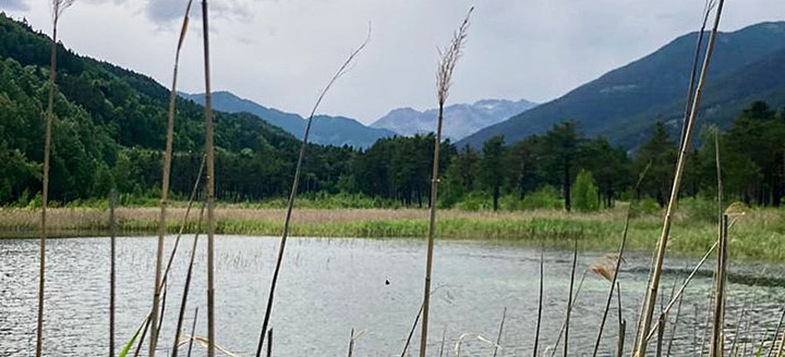 La Riserva naturale dello stagno di Oulx