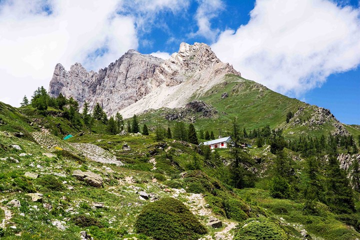 4 piccolo seru 4 piccolo seru.jpg