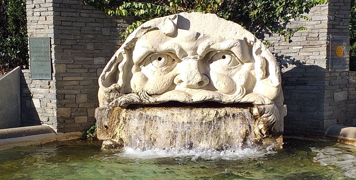 Cover Mascherone Il Cardinal Maurizio di Savoia, il castello di Giaveno e il Mascherone