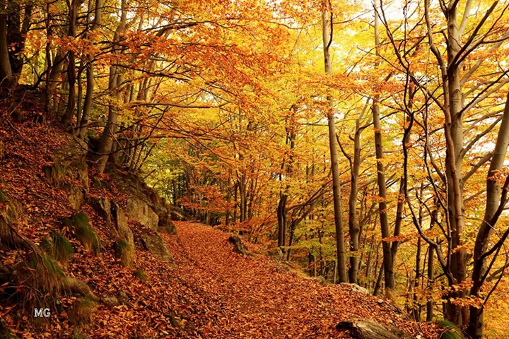 I lavori di una volta: autunno, tempo di semina e di raccolto
