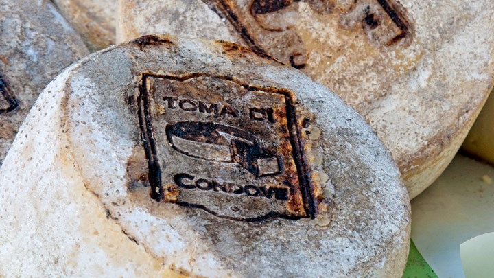 Toma Condove Le mandrie scendono dagli alpeggi: a Condove è tempo di Fiera della Toma