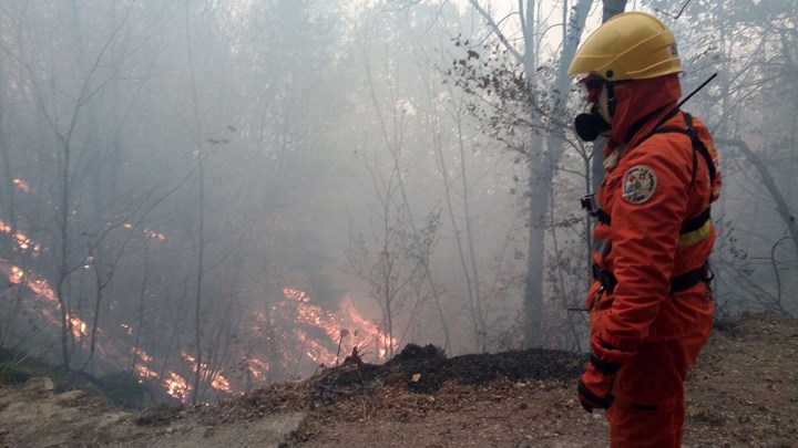 57486090_844449259239228_6421447463000866816_n 57486090_844449259239228_6421447463000866816_n.jpg