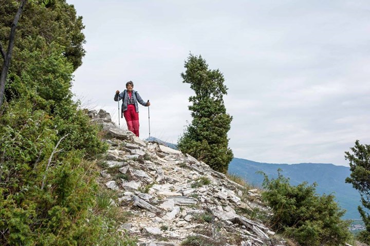 foto con ginepro coccolone foto con ginepro coccolone.jpg