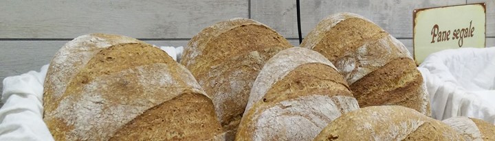 1920 pane 1920 pane.jpg