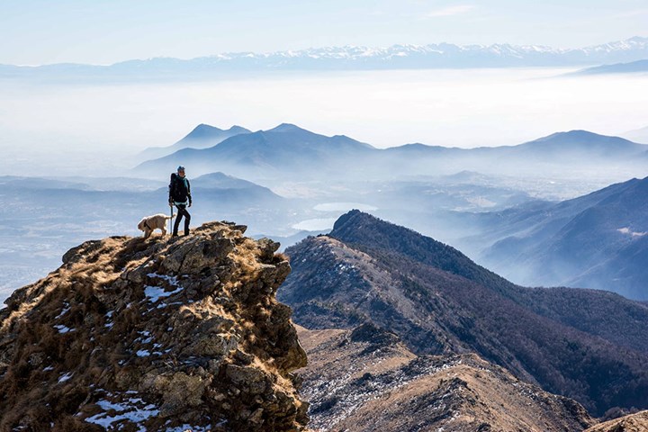 4 foschia 4 foschia.jpeg