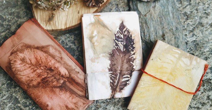 Cover Bollo Cover Bollo.jpg