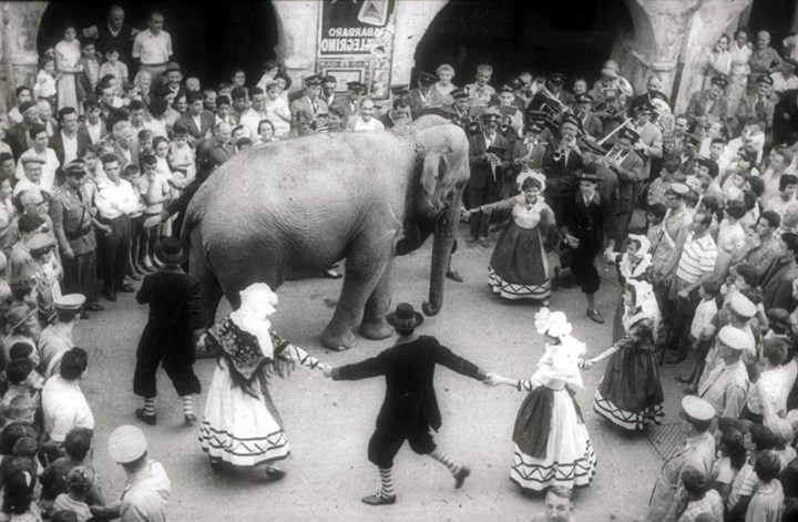 Jumbo a Susa Jumbo a Susa.jpg