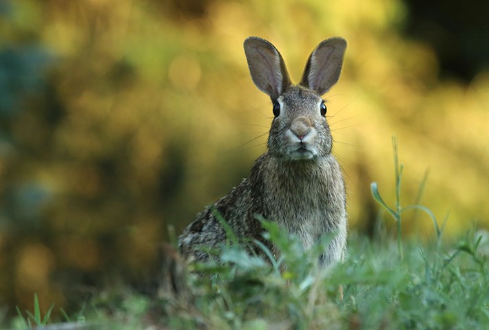 gary-bendig-KvHT4dltPEQ-unsplash_0 gary-bendig-KvHT4dltPEQ-unsplash_0.jpg