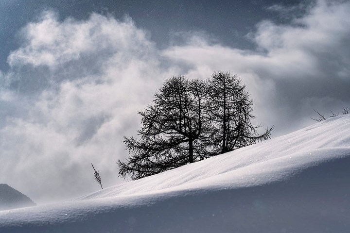 Finalmente neve - Champlas Seguin Sestriere - Fulvio Giorgi "ALTE VALLI", L'ARCHIVIO DELLE NEWSLETTER: 2024
