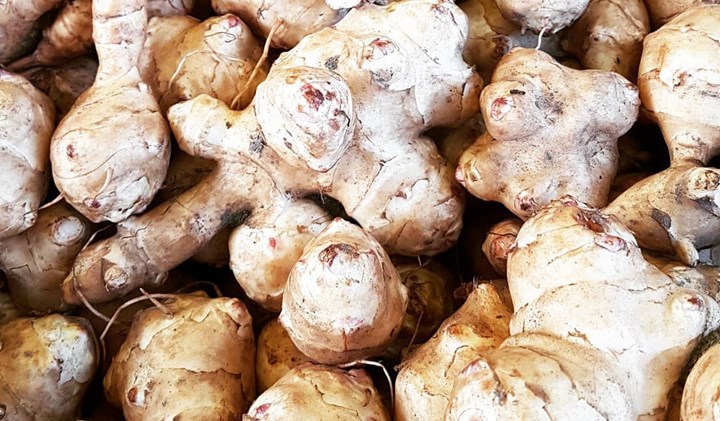 cover ciapinabo cover ciapinabo.jpg