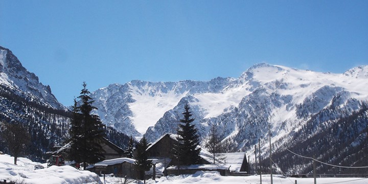 1000 Terranera 1000 Terranera.jpg