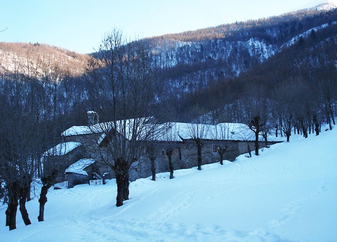 Abbazia Monte Benedetto.JPG