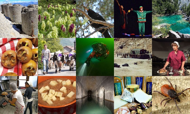 cover articoli 2020 cover articoli 2020.jpg