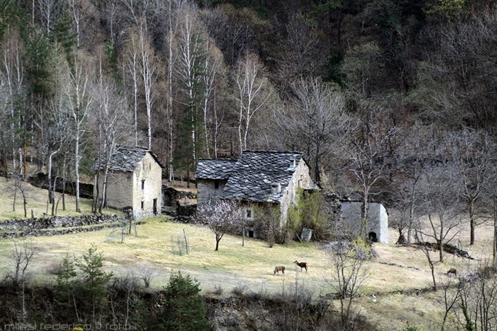 1-4 Nei dintorni di Exilles - Federico Milesi.jpg