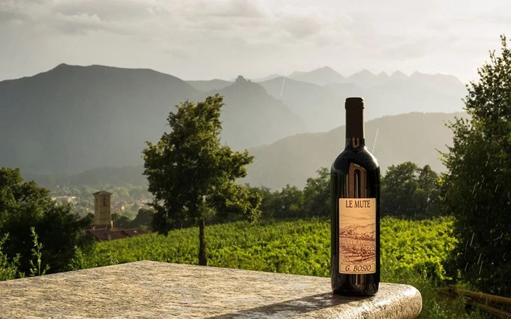 Tramonti in vigna – Il Baratuciat da Bosio ad Almese