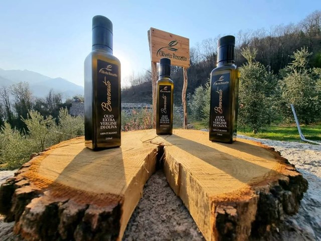 BORGONE: la roccia, colture antiche e nuove e degustazione olio extravergine di oliva montano