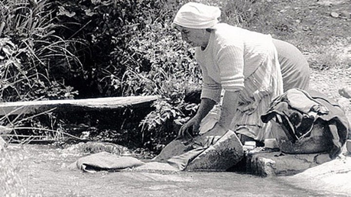 lavandaia-1280x720 lavandaia-1280x720.jpg