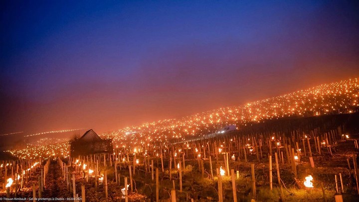 Titouan Rimbault1 Titouan Rimbault1.jpeg