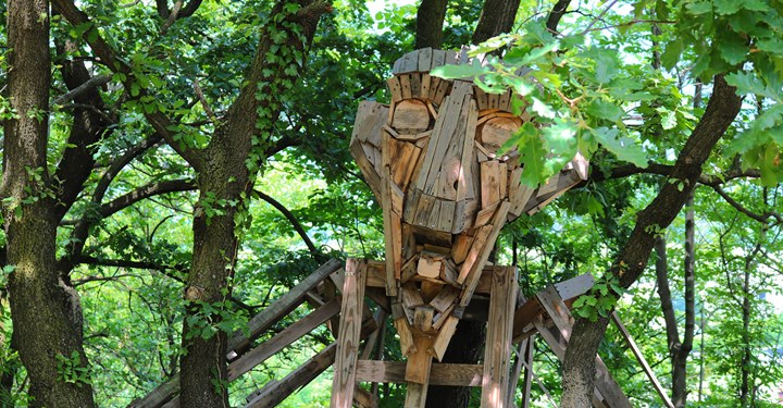 Il Bosco delle Meraviglie