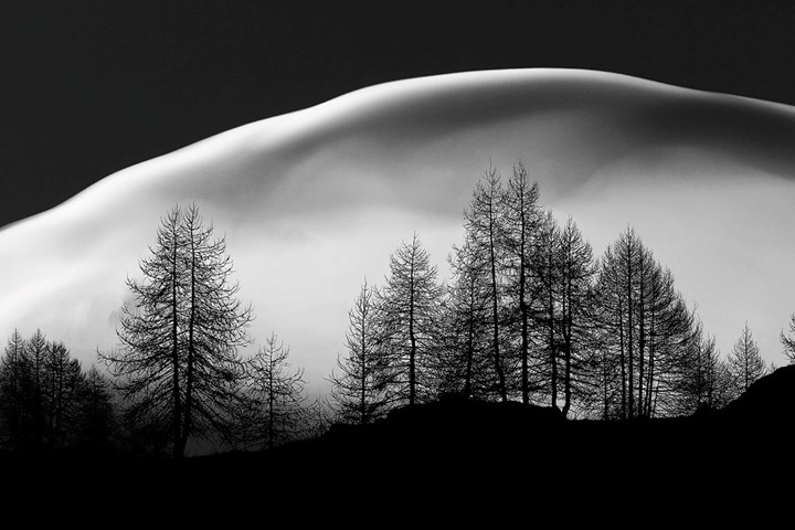 1150 foto 1150 foto.jpg