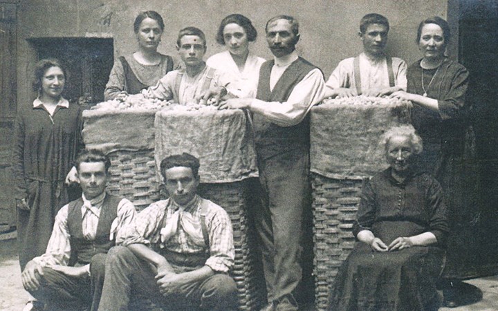 bachi da seta a cavour_0 bachi da seta a cavour_0.jpeg