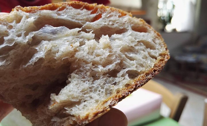 1000 Il Pane degli Dei.jpg