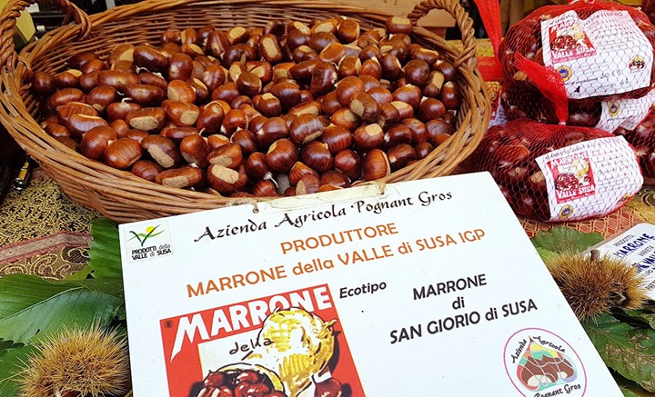 1200 Cover 1200 Cover.jpg