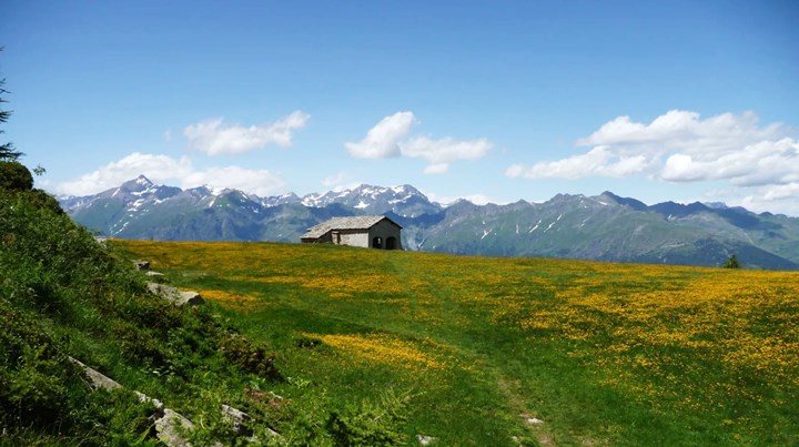 Pian dell’Orso, la località che deve il nome a due orsi catturati nel 1377