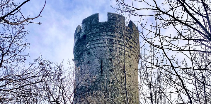 Cover Torre del Colle La Torre del Colle di Villar Dora, presidio “di confine”