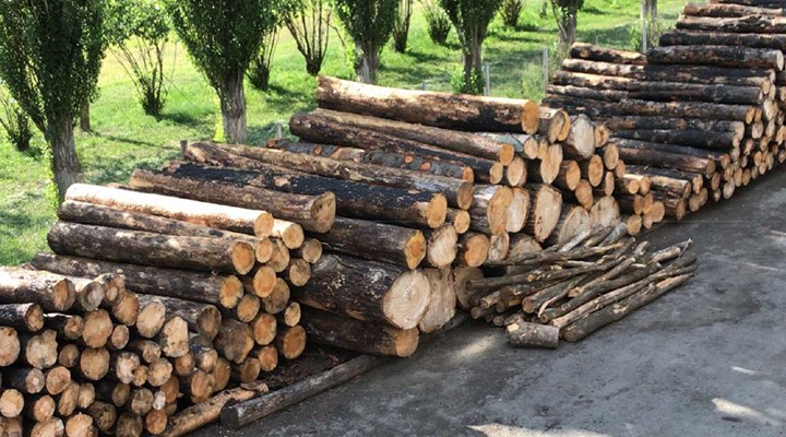 Un incontro sul Regolamento Europeo sul legno