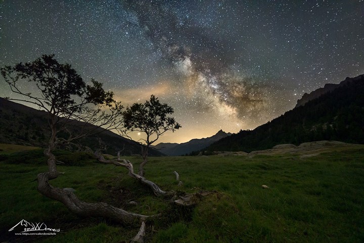 A caccia della Via Lattea - Walter Demichelis A caccia della Via Lattea - Walter Demichelis.jpg