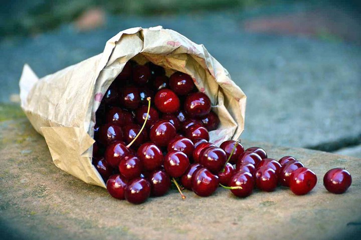 Cover cherries-3522365_1280-2 Cover cherries-3522365_1280-2.jpg