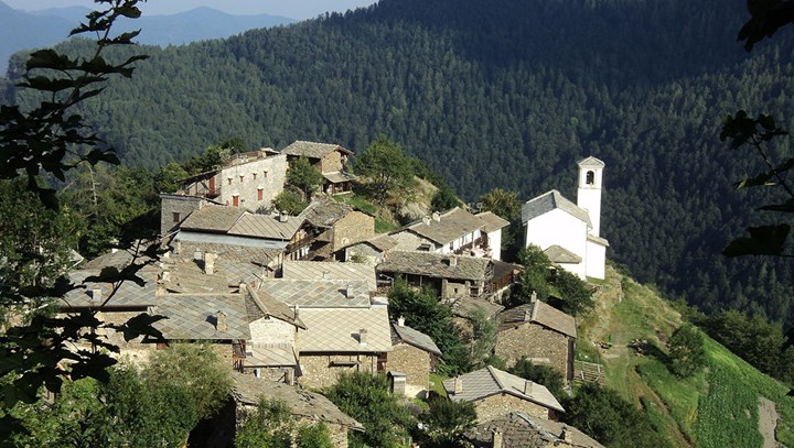 Roure