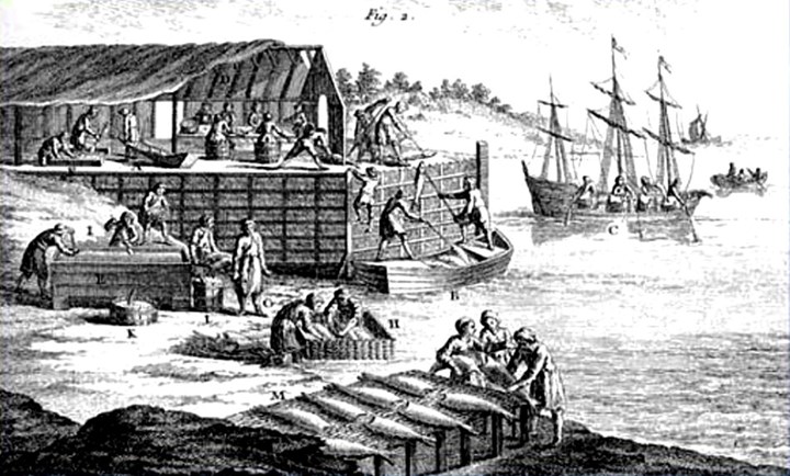 Cover merluzzo Il merluzzo nelle Alpi e le ricette storiche di Vialardi e Chapusot