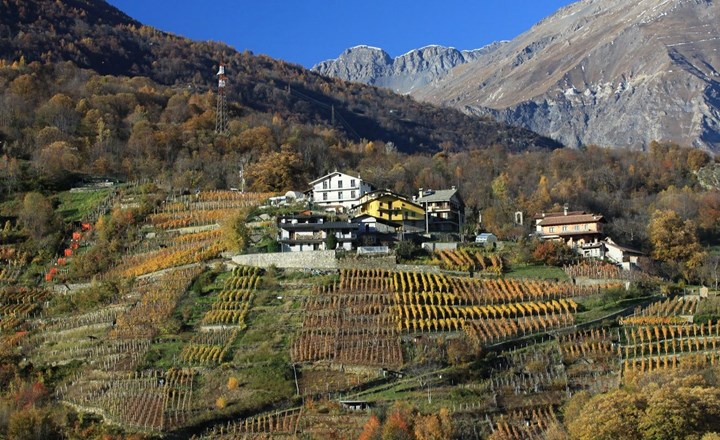 Agriturismo Cré Seren e Azienda Agricola Martina