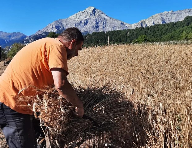 AZIENDA AGRICOLA GRAN CHARLE