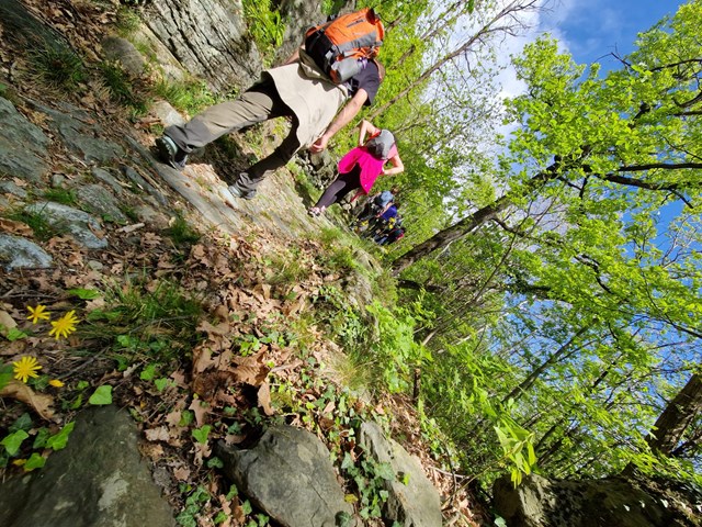 Moris walk copertina MORI'S WALK - GUIDA AMBIENTALE ESCURSIONISTICA