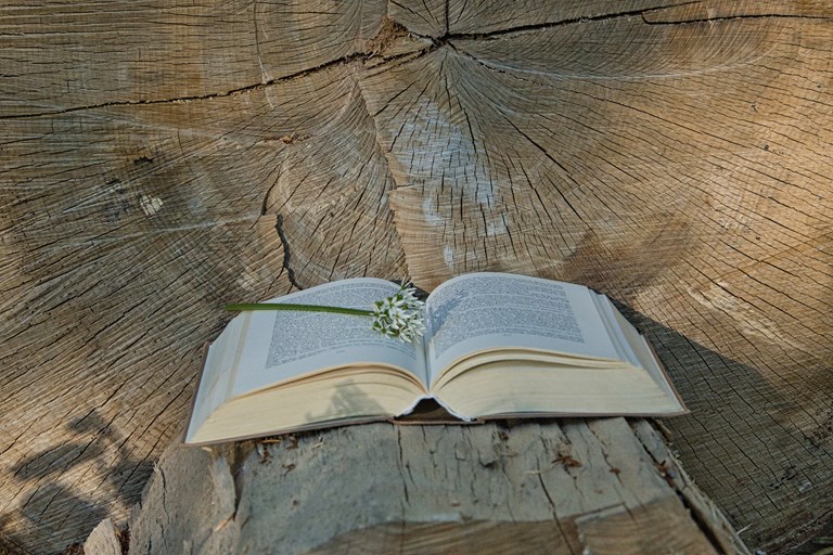 Letture ad alta voce 2026